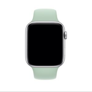 NWT Apple Watch Series 5, Silver Aluminum/Beryl